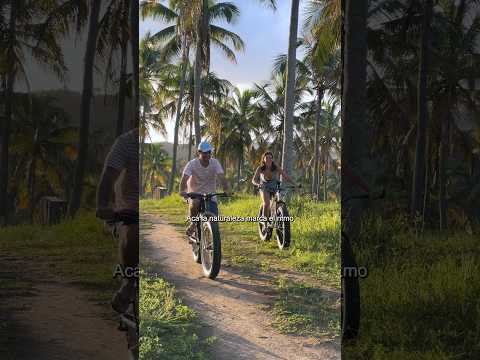 Nordeste brasileño: un recorrido por Japaratinga entre bicicleta y miradores