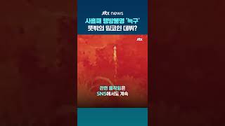 탈출 늑대 '늑구'…인기몰이에 '밈코인'까지 등장 #JTBC #Shorts