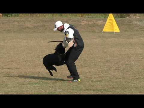 MM MSKS Zbraslav 2016 - Polzer David - Napi Apanta Rei - obrana/defense