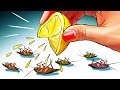 12 Natural Ways to Get Rid of Cockroaches Permanently 12 Natural Ways to Get Rid of Cockroaches Permanently