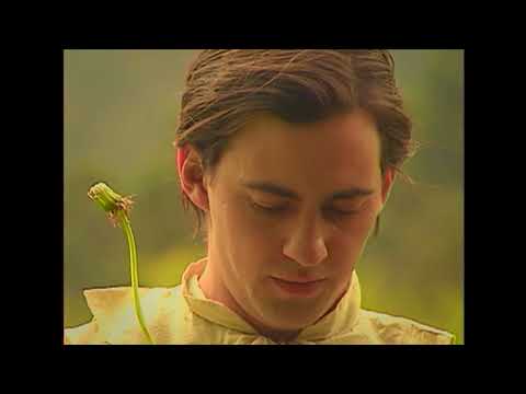 Video Ilustracion Cientifica Mutis