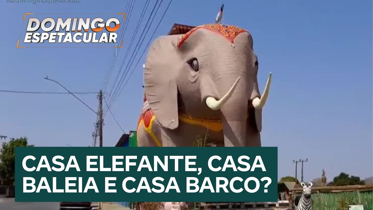 Achamos no Brasil: Conheça casas inusitadas em formato de baleia, elefante e barco