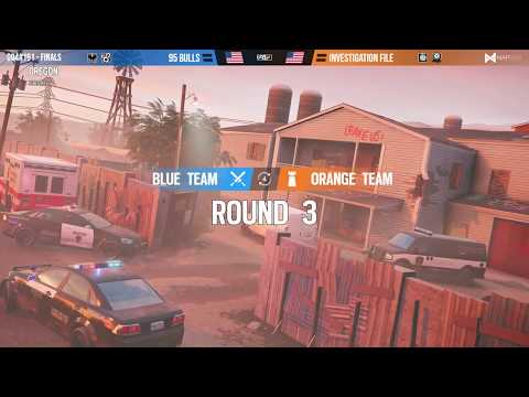 95 Bulls vs Investigation File