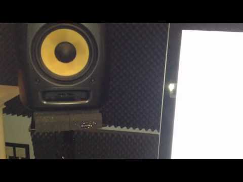 Ear - Bug - Ostblockschlampen