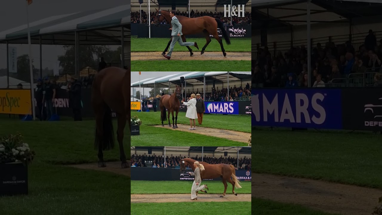 Burghley trot-up - YouTube