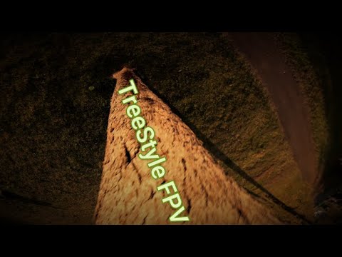 TreeStyle Flow FPV 6s Nazgul - 4k