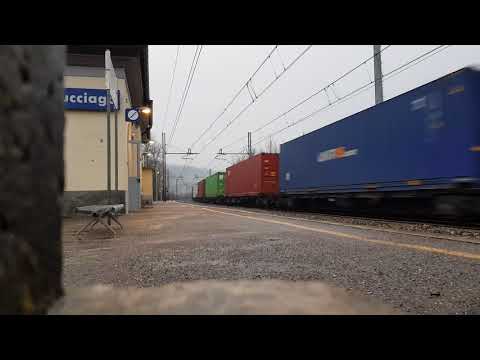 TEC 43007 Rheinhausen - Pomezia.