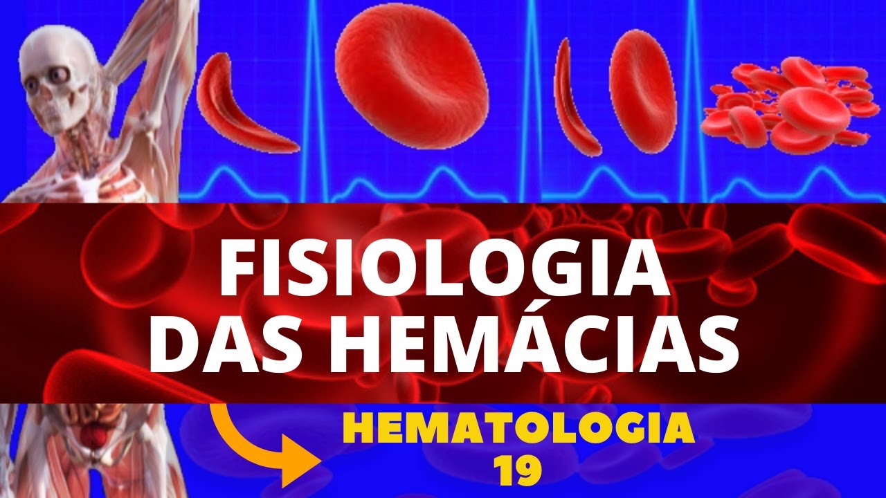 HEMÁCIAS - FISIOLOGIA E ESTRUTURA (PLASMA E GLÓBULOS VERMELHOS) - HEMATOLOGIA