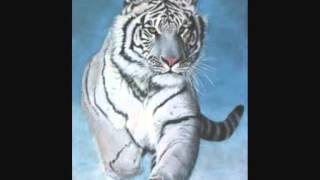 SILVER PLATINUM & GOLD ..    COMIN'UP FROM THE ROOTS    ...