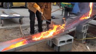 [討論] 自然系到底強不強啊？