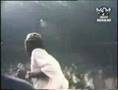 Peter Tosh 1979-07-16 Pt 2: Steppin' Razor