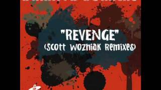 Darryl D'Bonneau - Revenge (Scott Wozniak Remix)
