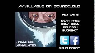 2  Its like that    Aphyliated feat de la soul Rmx