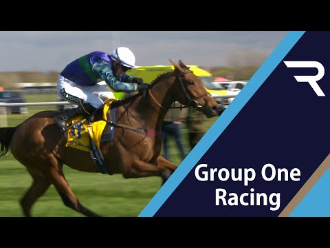 Star Stayer! THYME HILL and Tom O'Brien time it to perfection to take the Ryanair Stayers Hurdle