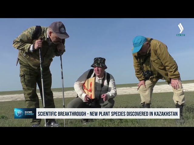 Казакстанда өсүмдүктүн жаңы түрү табылды