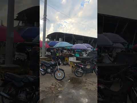 Puerto o Malecón de Leticia Amazonas Colombia 5/10/2026