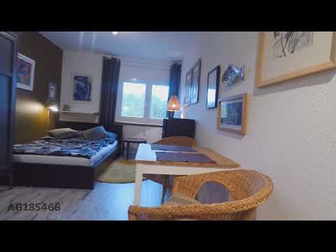 WI-185466 - Möbliertes 1-Zimmer Apartment mit Aufzug und Internet in Mainz