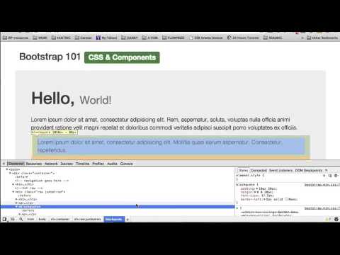 Bootstrap 3  The Complete Guide Course #10- Styling With Css Part1
