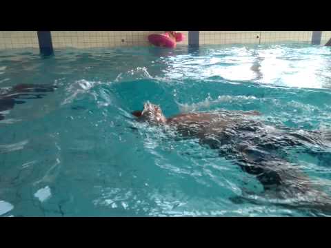 Bazén Poruba 1.11.2015(5)