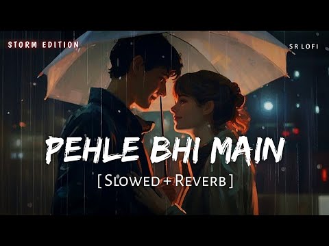 Pehle Bhi Main (Slowed + Reverb) | Storm Edition | Vishal Mishra | Animal | SR Lofi