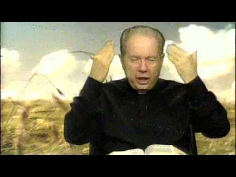 O Pão Nosso 14 Novembro 2014 -  Pe.F.C.Cardoso.