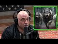 Attacked By A Wolf Pack What He Did Will Haunt You Joe Rogan