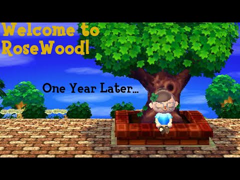 One Year Later Town Tour - Welcome to RoseWood!