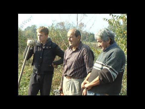 Dnevnik TV 3M Ub - Počele pripreme za izgradnju atarskih puteva i Hilandar 26.10.2015. god.