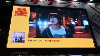 【Fish and Lips】1st Album「青い春のその先へ」SPOT映像