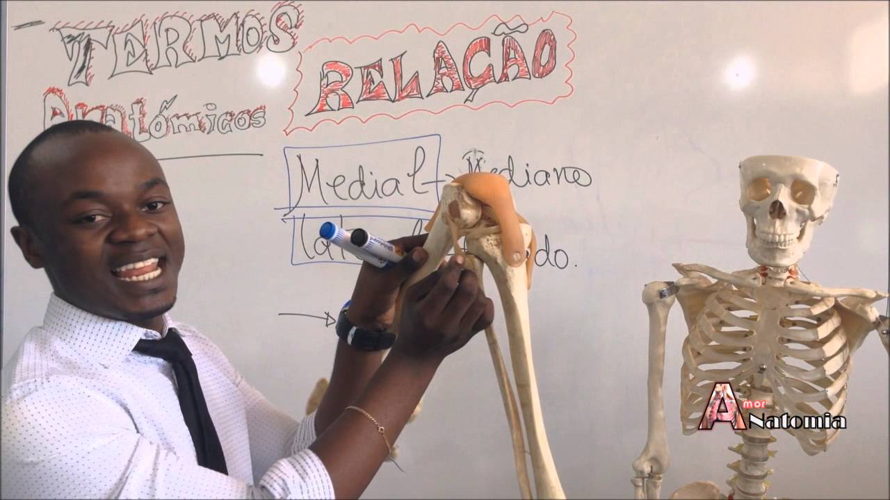termos anatomicos de relação
