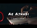 Ae Ajnabi Lyrical Song | Slowed & Reverb | Dil Se | Shahrukh Kha | Udit Narayan | 90's Hindi Songs