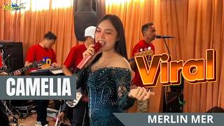 Download lagu Merlin Mer - Camelia || LD Production Live  mp3