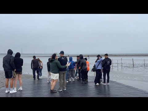 Exploring Gaomei Wetlands : Central Taiwan's Gorgeous Landscape