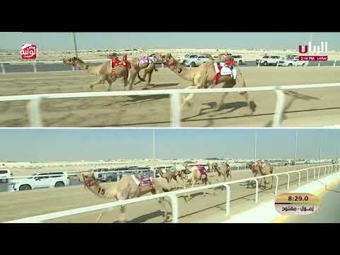  ش 6 (والم) لـ حمد راشد غدير الكتبي 12:32:45 , مهرجان الأمير الوالد 2026/2/11 حول زمول الشحانية 