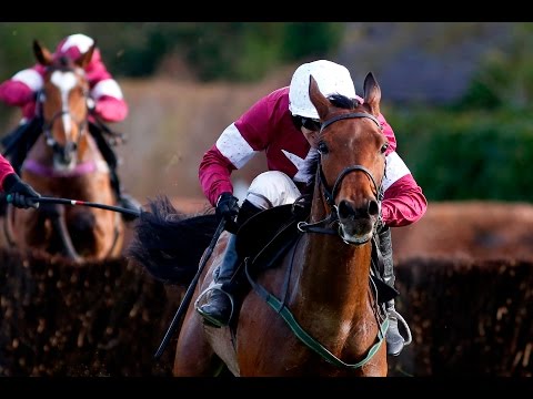 Valseur Lido - JNWine Champion Chase