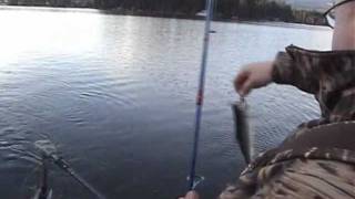 preview picture of video 'Lake Cavanaugh WA.Trout fishing in February.'
