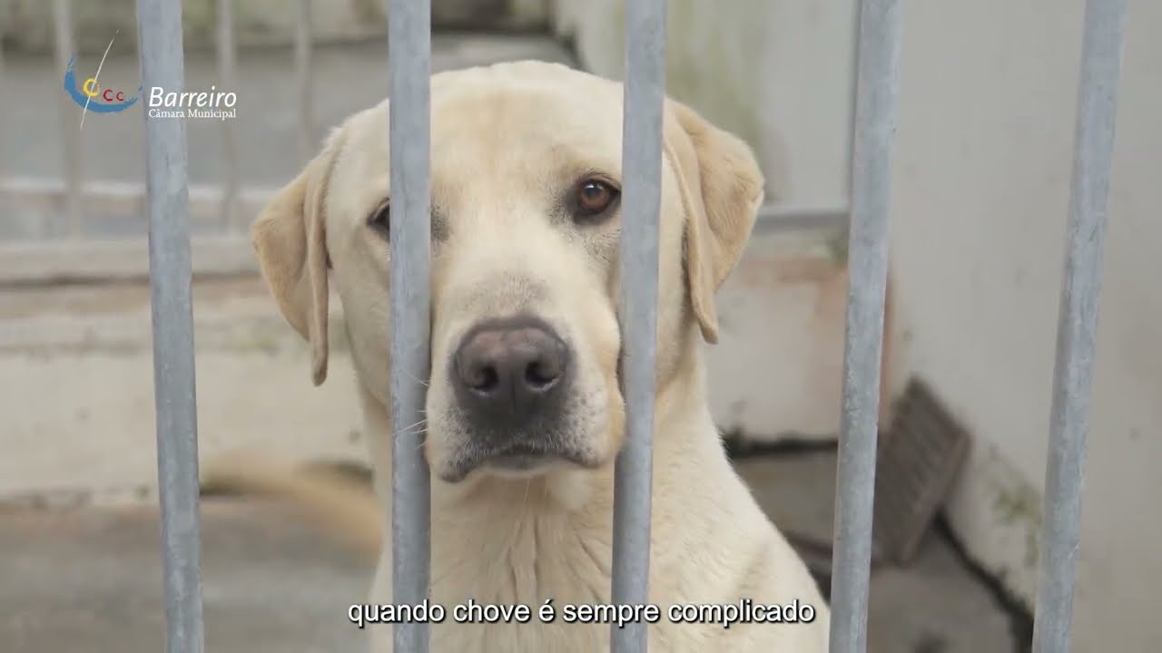 Quinta do Mião, um espaço de referência para o bem-estar animal