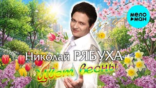 Николай Рябуха – Цвет весны (Single, 2026)