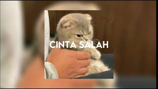 Download lagu Cinta salah - caitlin halderman, speed up mp3 Download lagu Cinta salah - caitlin halderman, speed up mp3