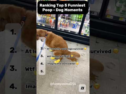 Ranking Top 5 Funniest Poop - Dog Moments 🤣