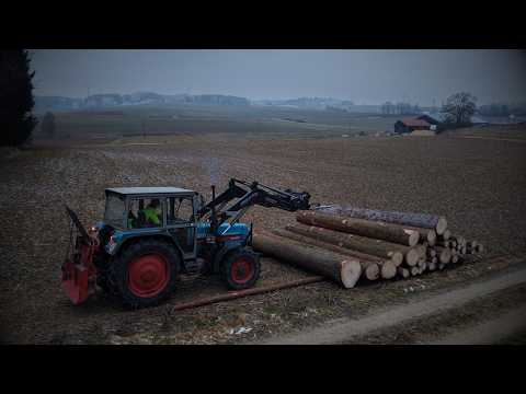 FarmVlog | Bodenfrost ausnutzen, holzrücken ohne Flurschaden... [4K]