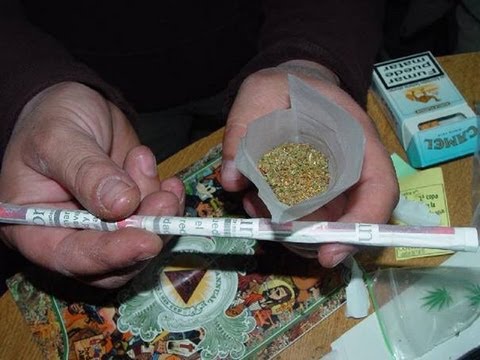 WeedFun TV - Tulpe bauen