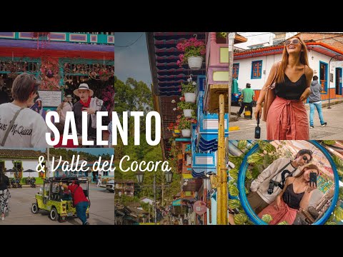 SALENTO EXPOSED: Enter Cocora, Home to the World’s Rarest, Most Enchanted Palm!