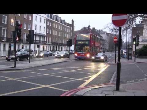 London Bus - Route 113