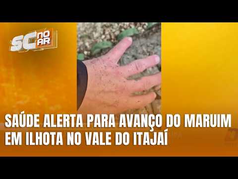 Mosquito maruim se espalha em Ilhota e preocupa população no Vale do Itajaí
