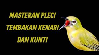 Download lagu MASTERAN PLECI TEMBAKAN KENARI DAN KUNTI mp3