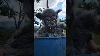 ABRE A PORTA LOBISOMEM 🤣🤣🤣