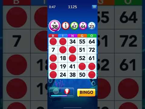 NEW PLATFORM!! | Skills Win | Cash Bingo - YouTube