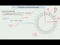 Lec 20 Basics Of Electrical Machine Windings