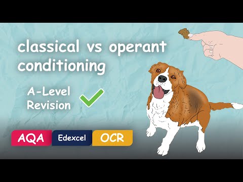 Classical and Operant Conditioning (similarities & differences) #Alevel #Psychology #Revision